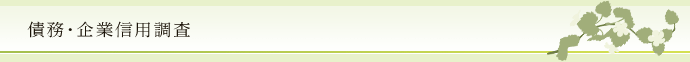 債務・企業信用調査